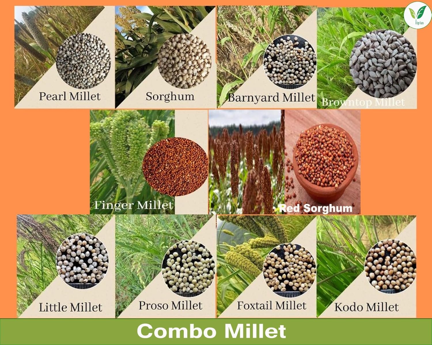 combo millets
