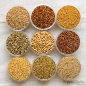 millet-types-main-image